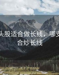 哪些龙头股适合做长线，哪支股票适合炒长线