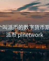 我在一个叫派币的数字货币期货平台，派币 pinetwork