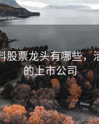 活性染料股票龙头有哪些，活性染料的上市公司