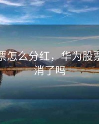 华为股票怎么分红，华为股票分红取消了吗