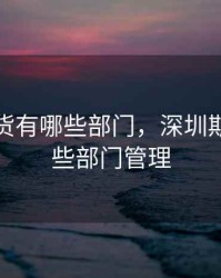 深圳期货有哪些部门，深圳期货有哪些部门管理