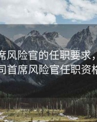 期货首席风险官的任职要求，期货公司首席风险官任职资格