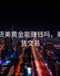 国际期货美黄金能赚钱吗，美黄金期货交易