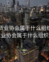 中国期货业协会属于什么组织，中国期货业协会属于什么组织形式