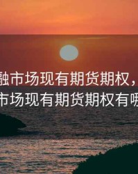 我国金融市场现有期货期权，我国金融市场现有期货期权有哪些