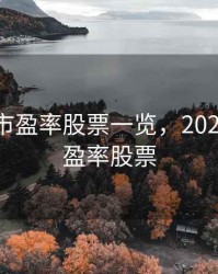 2020低市盈率股票一览，2020年低市盈率股票