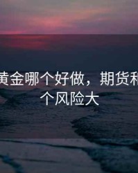 期货与黄金哪个好做，期货和黄金哪个风险大