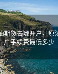 中国原油期货去哪开户，原油期货开户手续费最低多少