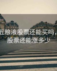 2020年五粮液股票还能买吗，五粮液股票还能涨多少