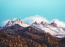 豆粕期货最迟提货时间，豆粕期货最迟提货时间是几点