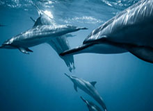 定增受理到核准需要多长时间，定增从受理到拿到批文时间