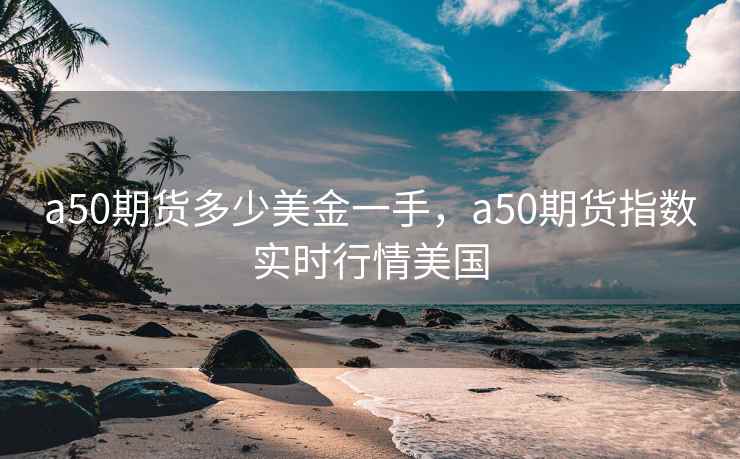 a50期货多少美金一手，a50期货指数实时行情美国