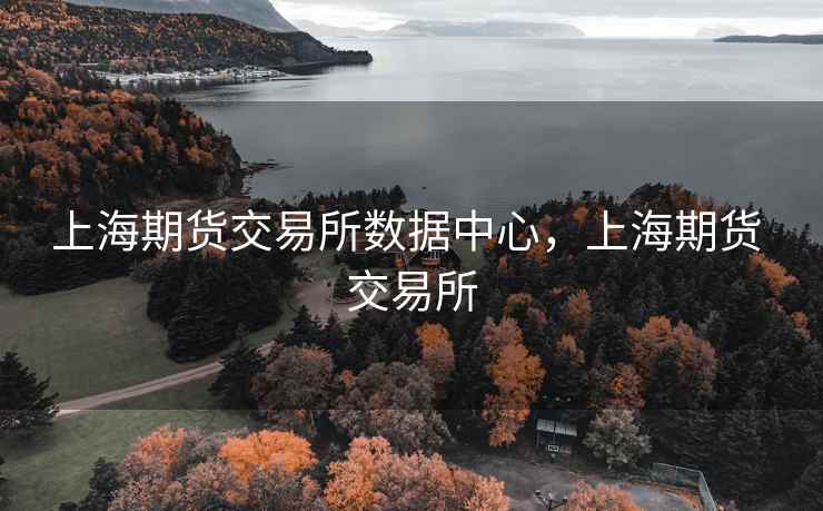 上海期货交易所数据中心，上海期货 交易所