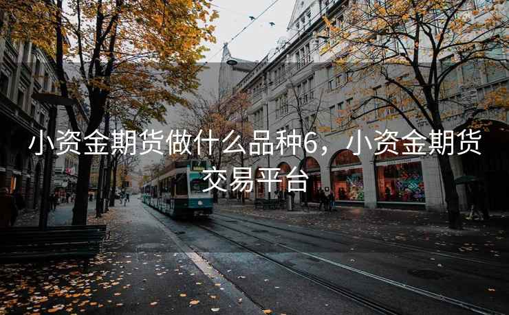 小资金期货做什么品种6，小资金期货交易平台
