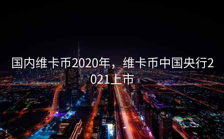 国内维卡币2020年，维卡币中国央行2021上市