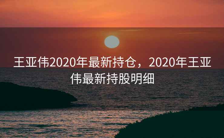 王亚伟2020年最新持仓，2020年王亚伟最新持股明细