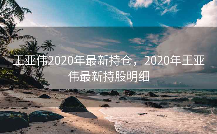 王亚伟2020年最新持仓，2020年王亚伟最新持股明细