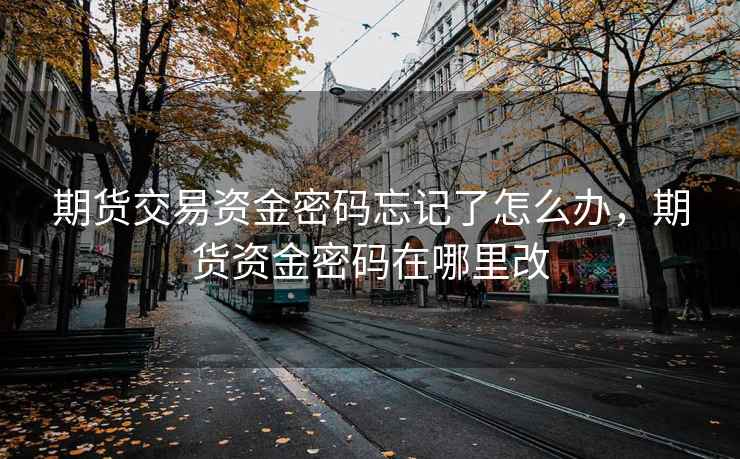 期货交易资金密码忘记了怎么办，期货资金密码在哪里改