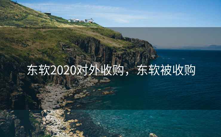 东软2020对外收购，东软被收购