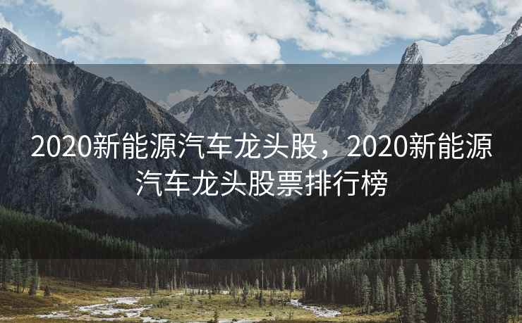 2020新能源汽车龙头股，2020新能源汽车龙头股票排行榜