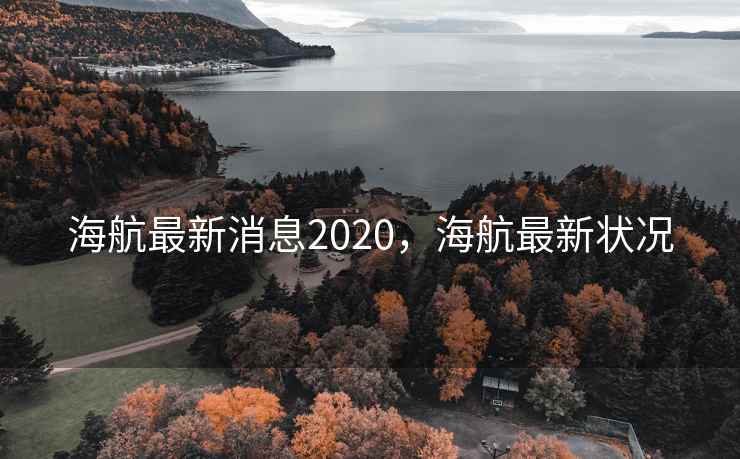 海航最新消息2020，海航最新状况