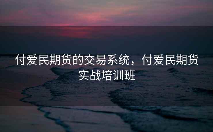 付爱民期货的交易系统，付爱民期货实战培训班