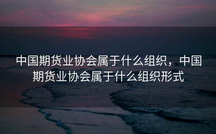 中国期货业协会属于什么组织，中国期货业协会属于什么组织形式