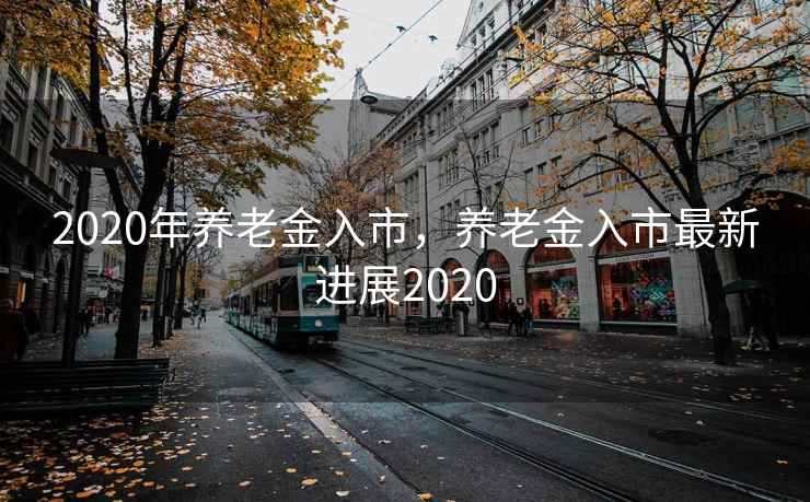 2020年养老金入市，养老金入市最新进展2020
